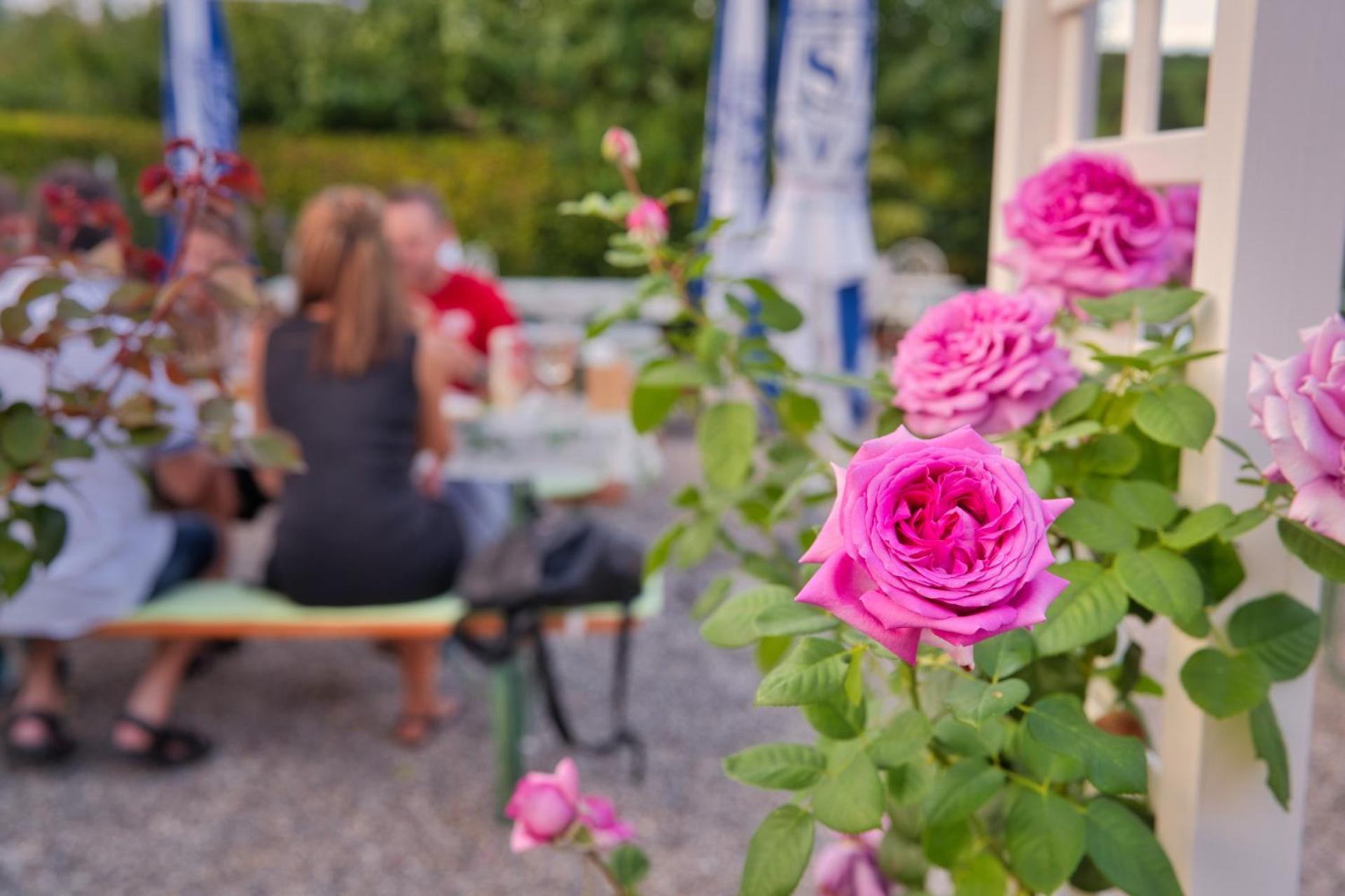 Gasthaus Zur Rose 알렌 외부 사진